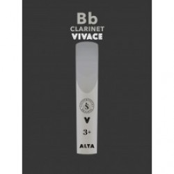 Silverstein Alta Vivace Clarinet (7)