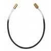 Nylon cordar viola