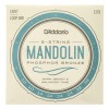 Corzi mandolina D'addario EJ73