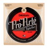 Corzi chitara clasica D'addario EJ45