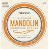 Corzi mandolina D'addario EJ74