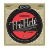 Corzi chitara clasica D'addario EXP45