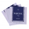 Corzi vioara Warchal Ametyst