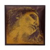 Corzi vioara Pirastro Evah Pirazzi Gold Sol aurit