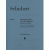 Franz Schubert  - Variations on "Trockne Blumen" e minor op. post. 160 D 802
