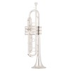 Trompeta Sib Shires K10S